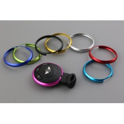 Anillo para llave de mini rosa mate Perfecto para regalo!